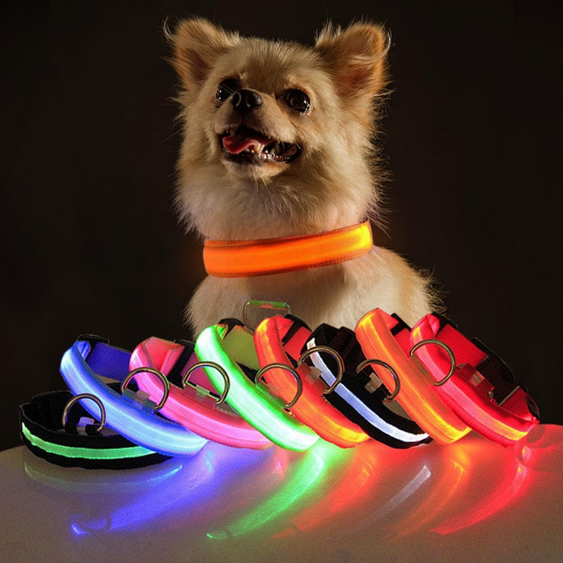 USB Charging/Battery Powered LED Dog Collar